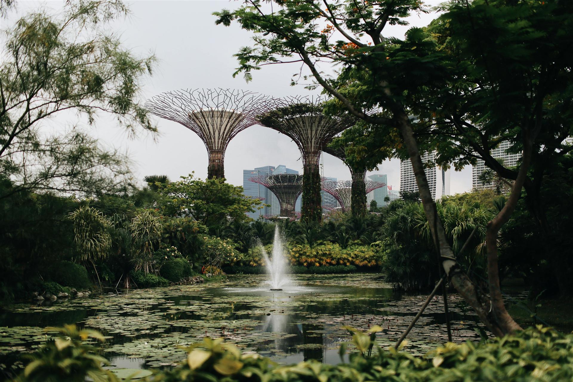 Gardens by the Bay & Supertrees