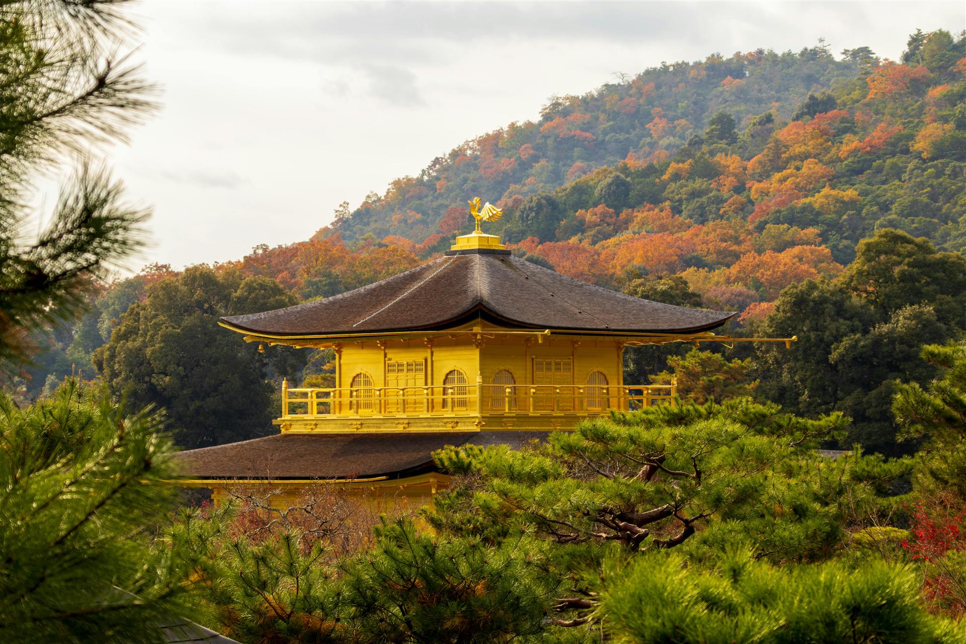 Kinkaku-ji Golden Pavilion