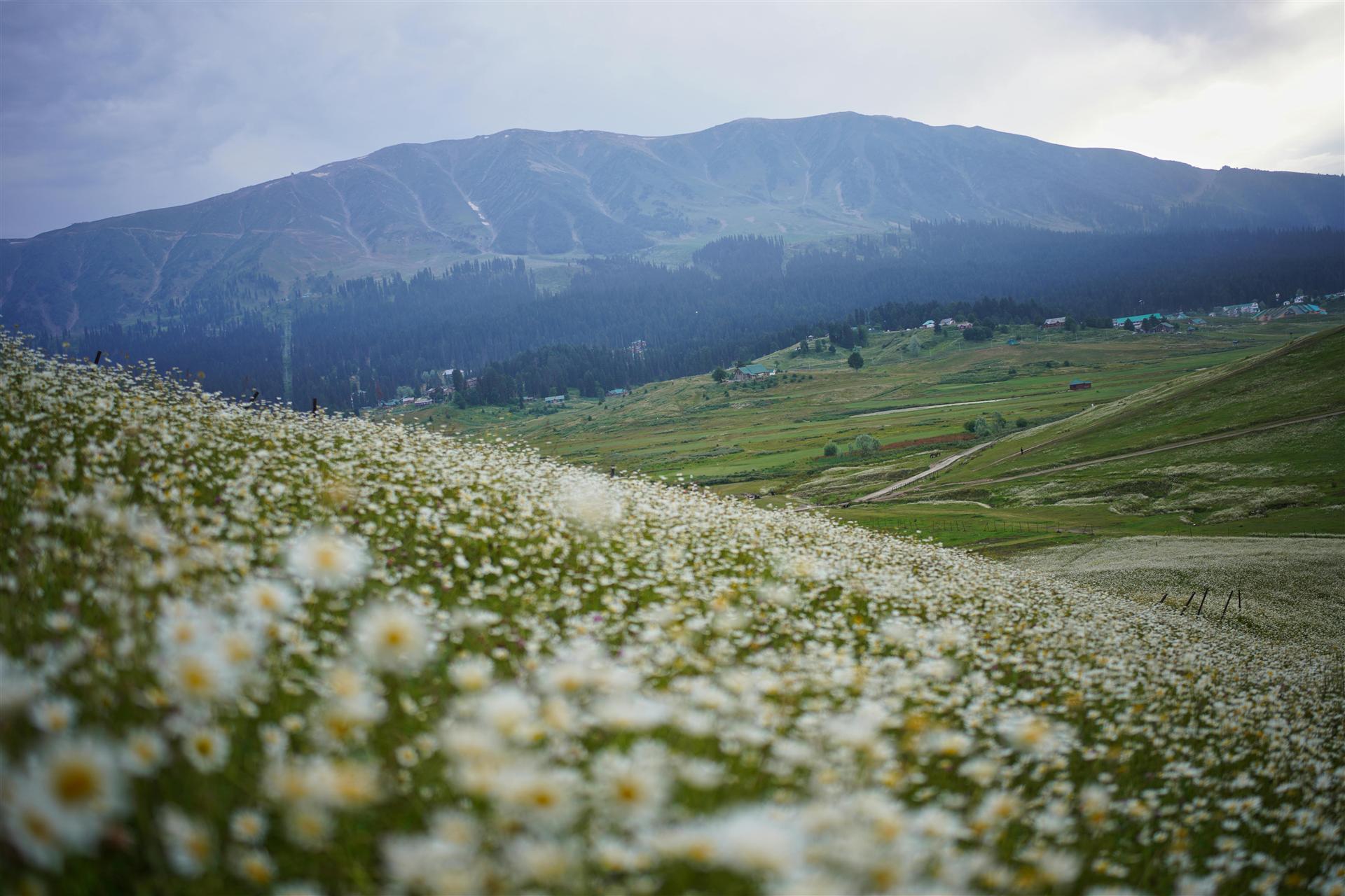 Magical Kashmir